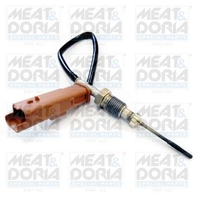Sensor, exhaust gas temperature